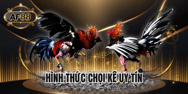 Top 5 hình thức chọi kê ăn khách 2025 